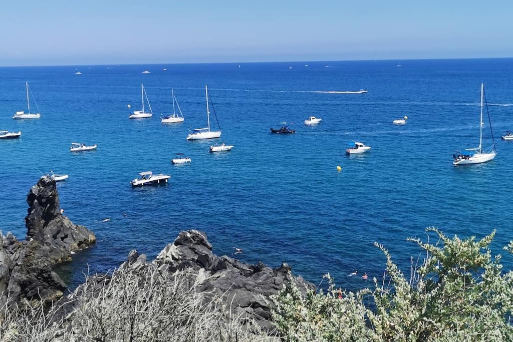 Le Port Dauphin : Vue Bateaux; Piscine; Cap D'agde Apartamento *